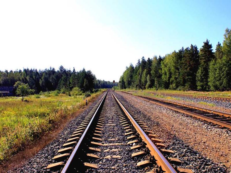 타로 카드 해석 완벽 가이드: 초보자도 쉽게 배우는 카드 읽기 방법