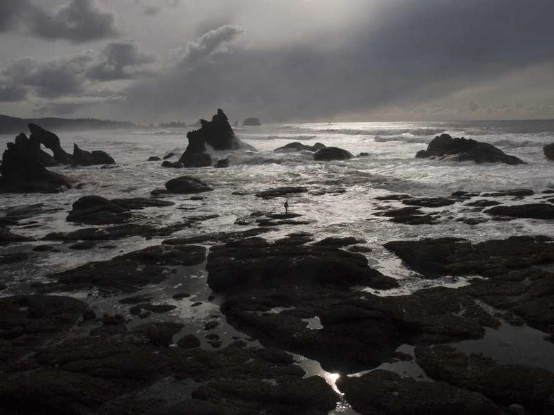 초보자를 위한 명상 가이드: 일상에서 시작하는 영적 성장의 첫걸음